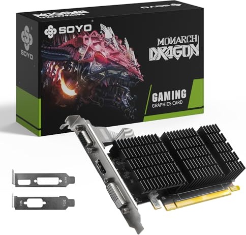 SOYO AMD Radeon R5 230 Low Profile Graphics Card, 2GB DDR3 64-Bit, VGA/DVI/HDMI 1.3A, SFF Video Card for Windows 10/8.1/7 PC, PCI Express x16 1.1, Entry Level Computer GPU (Fanless Cooling)